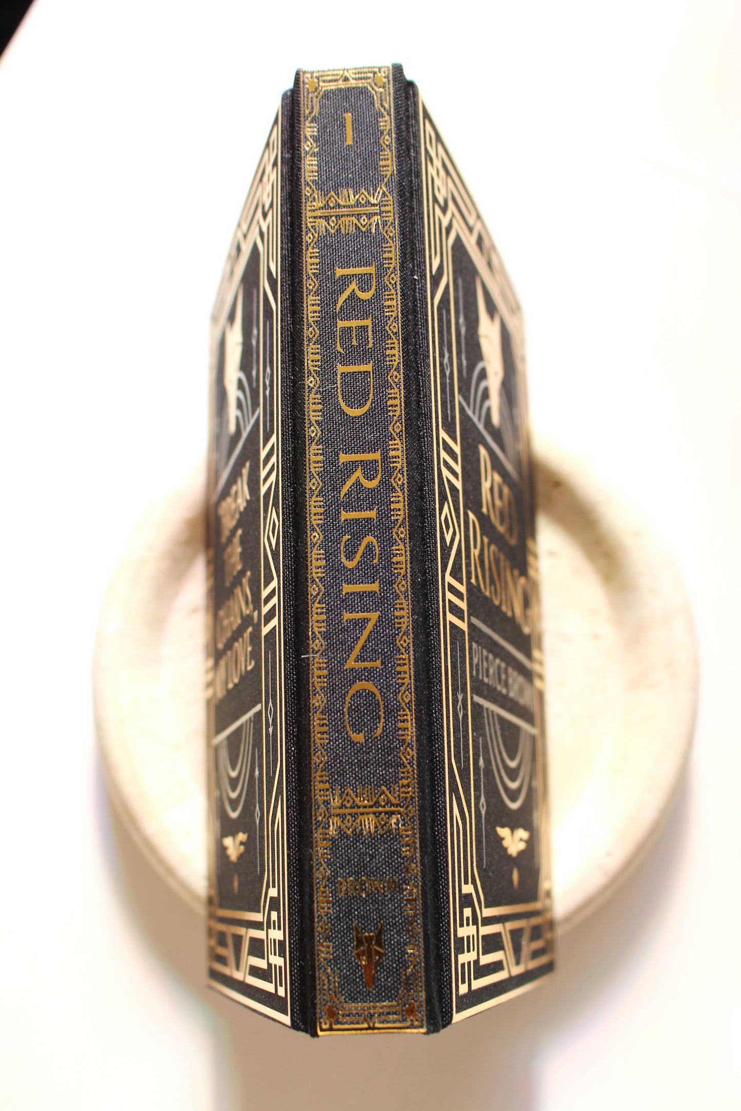 Red Rising by Pierce Brown Rebind | Special Custom Edition | Rebound Book