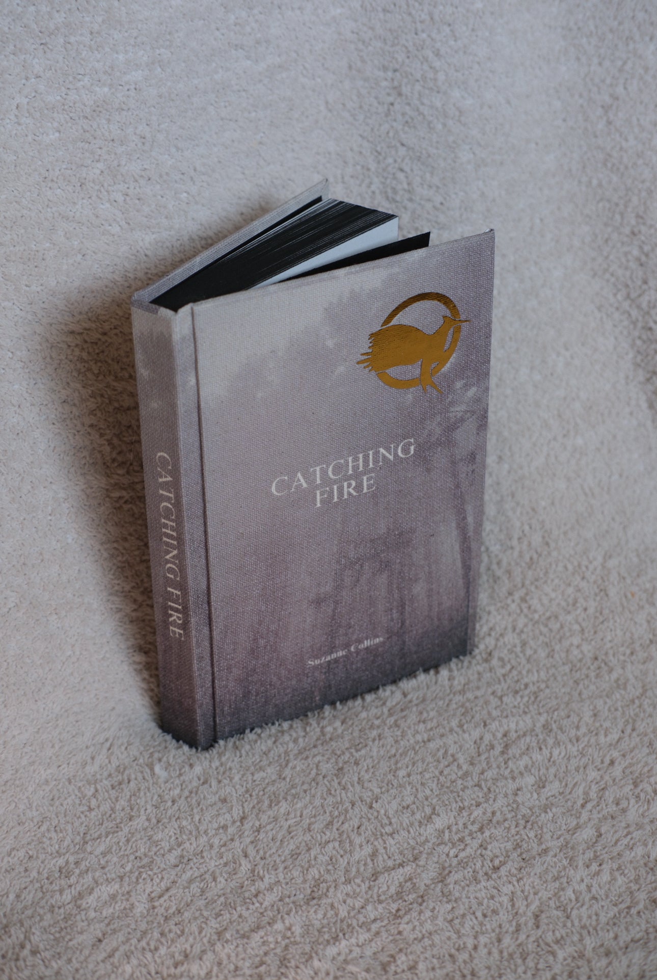 The Hunger Games and Catching Fire by Suzanne Collins Rebound Set | Special Editions | Custom Made Rebinds