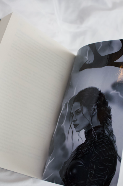 Fourth Wing by Rebecca Yarros Rebind | Special Custom Edition | Rebound Book