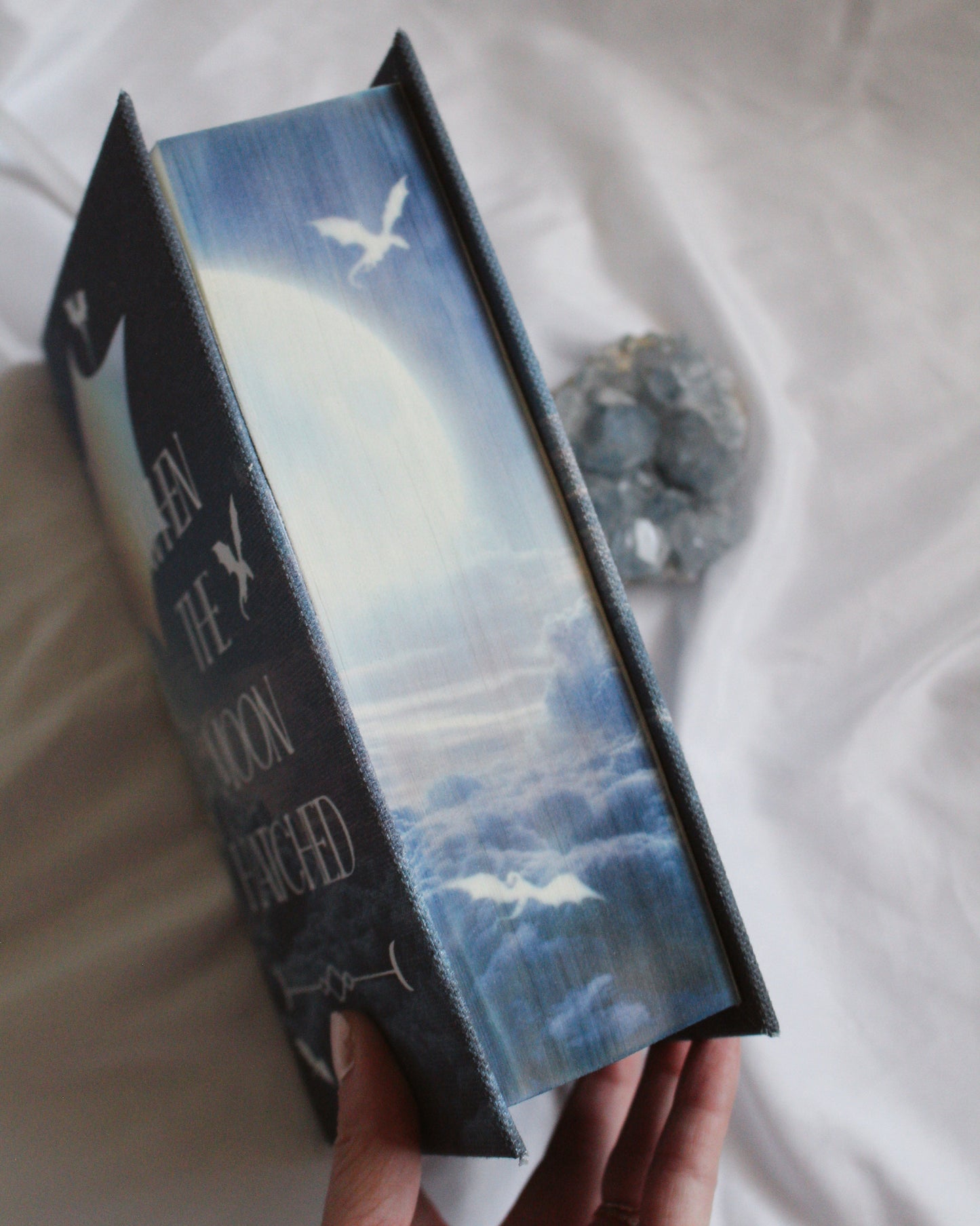 When the Moon Hatched by Sarah A. Parker Rebind | Handmade, Custom Special Edition, Rebound Book