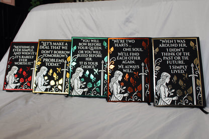 Blood and Ash Series by Jennifer L Armentrout Rebound Special Custom Edition Set, Fantasy Romance Rebind Set, Handmade