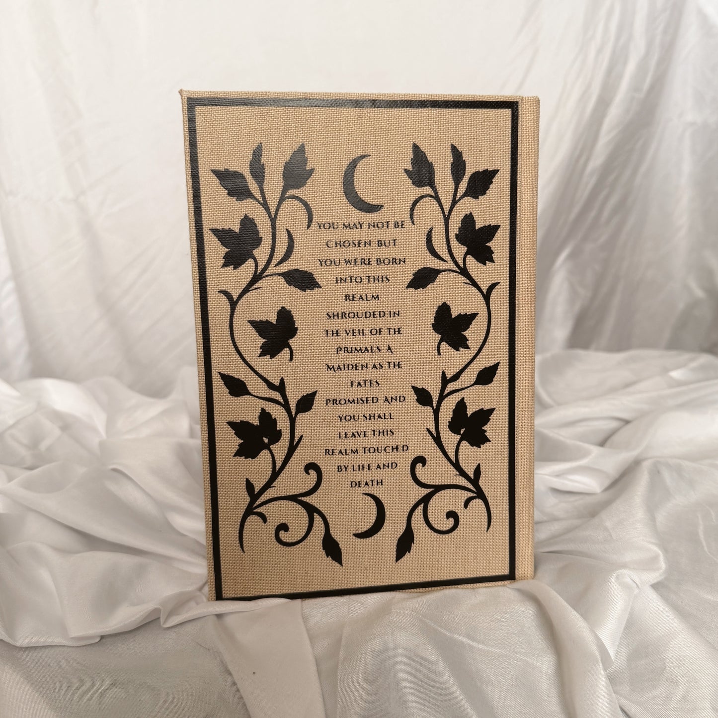 A Shadow in the Ember by Jennifer L. Armentrout Rebind | Special Custom Edition | Rebind