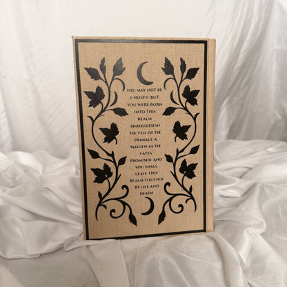 A Shadow in the Ember by Jennifer L. Armentrout Rebind | Special Custom Edition | Rebind