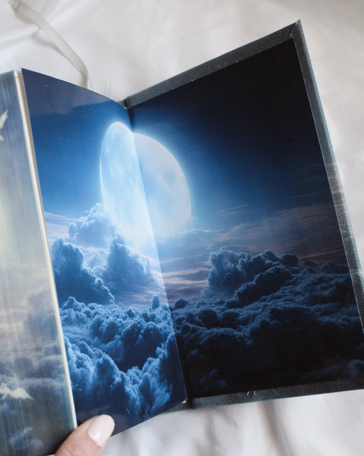 When the Moon Hatched by Sarah A. Parker Rebind | Handmade, Custom Special Edition, Rebound Book