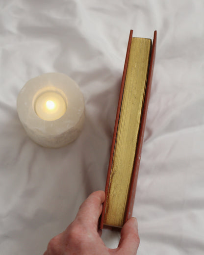 The Martian by Andy Weir Rebind | Custom Special Edition, Handmade, Rebound Book